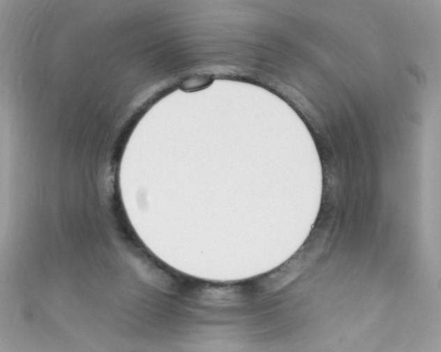 X0000110730160200907241234