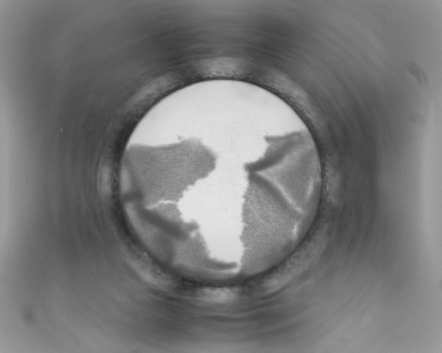 X0000110730161200907241234