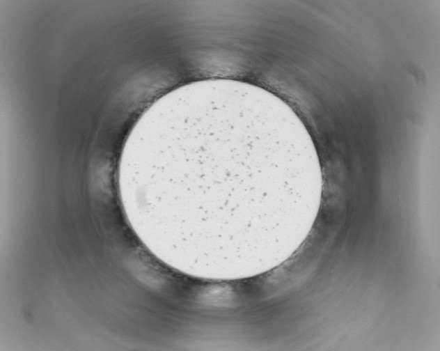 X0000110730162200907241234