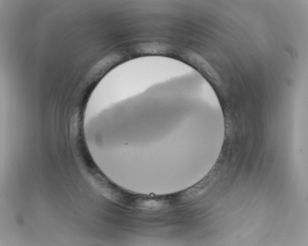 X0000110730163200907241234