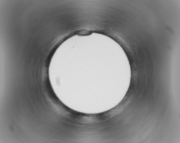X0000110730164200907241234