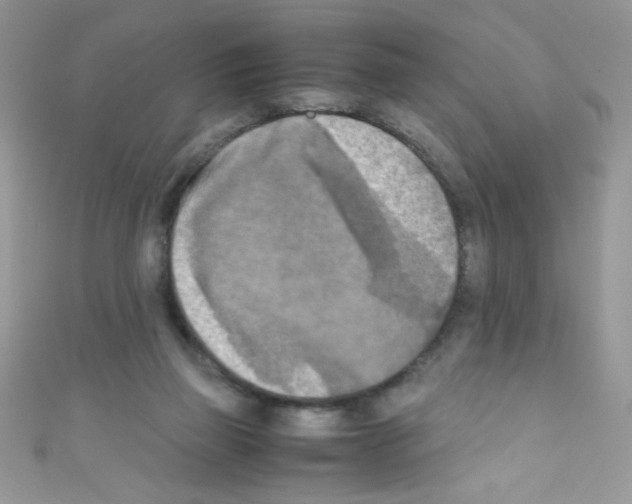 X0000110730165200907241234