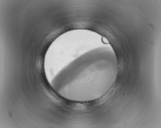 X0000110730166200907241234