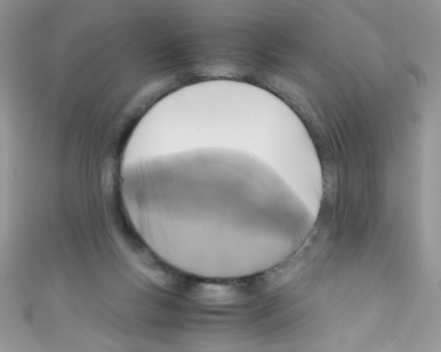 X0000110730167200907241234
