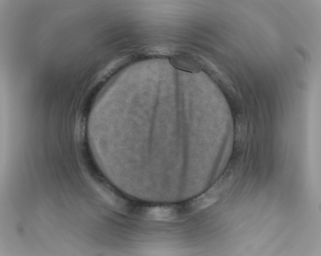 X0000110730168200907241234