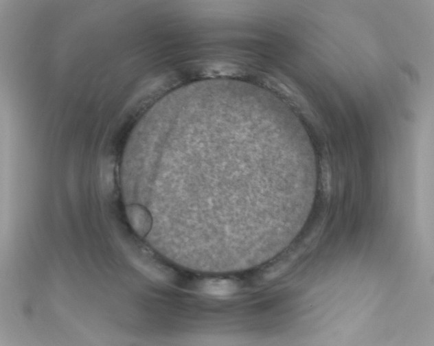 X0000110730169200907241234