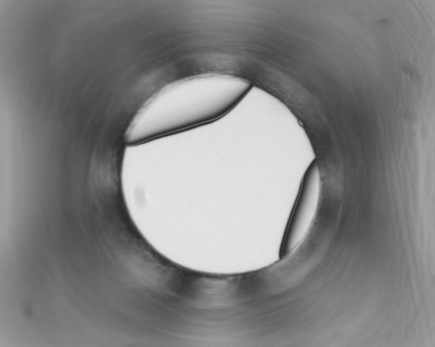 X0000110730170200907241234