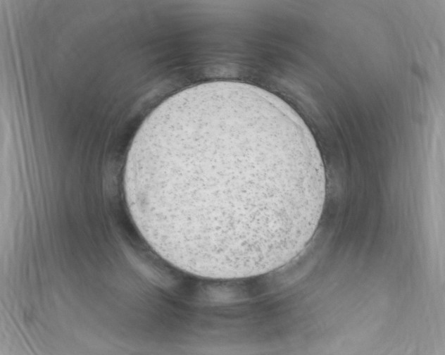 X0000110730171200907241234