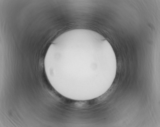 X0000110730172200907241234