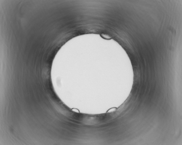 X0000110730174200907241235