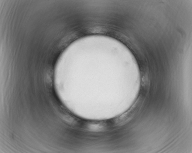 X0000110730175200907241235