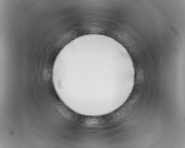 X0000110730177200907241235
