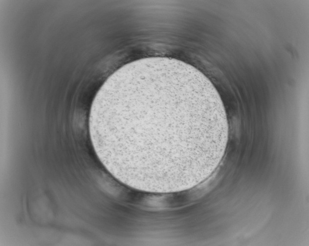 X0000110730178200907241235