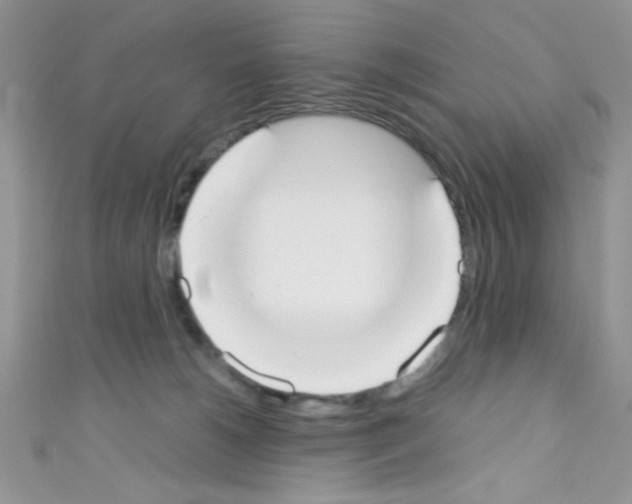 X0000110730180200907241235