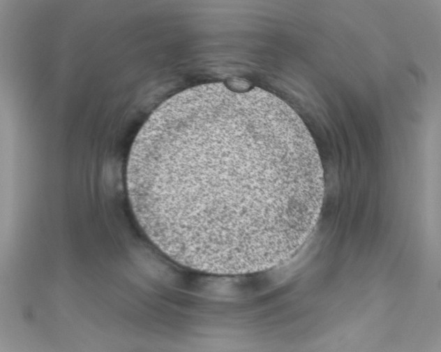 X0000110730182200907241235