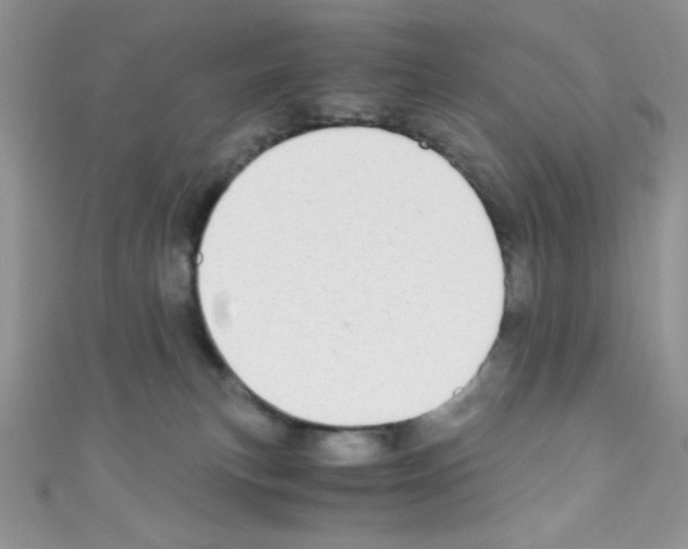 X0000110730183200907241235