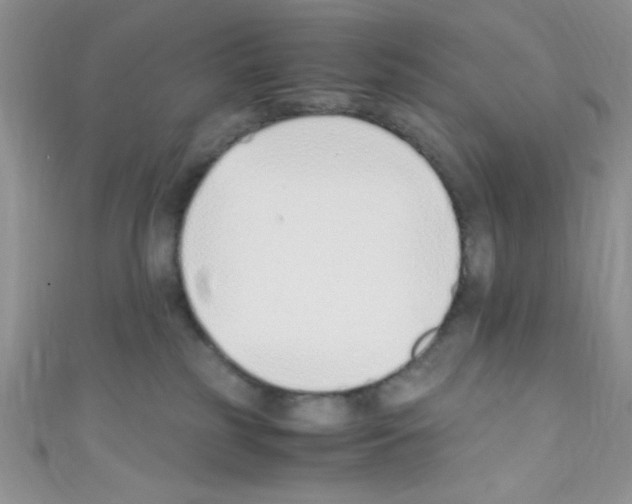 X0000110730185200907241235