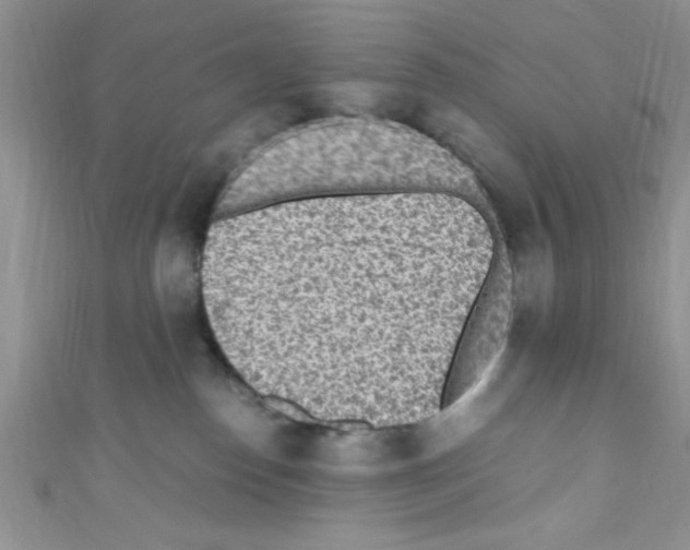 X0000110730186200907241235