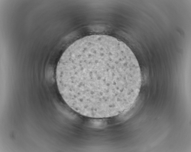 X0000110730187200907241235