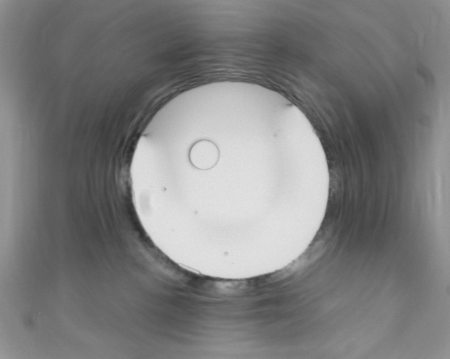 X0000110730188200907241235
