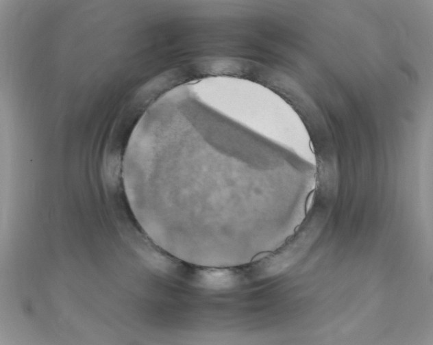 X0000110730189200907241235