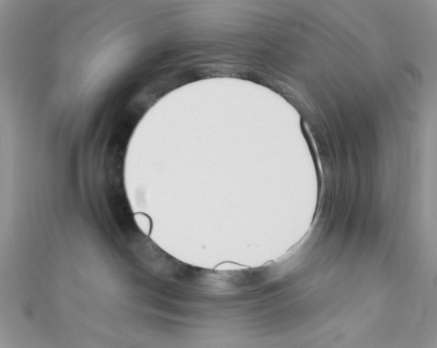 X0000110730190200907241235