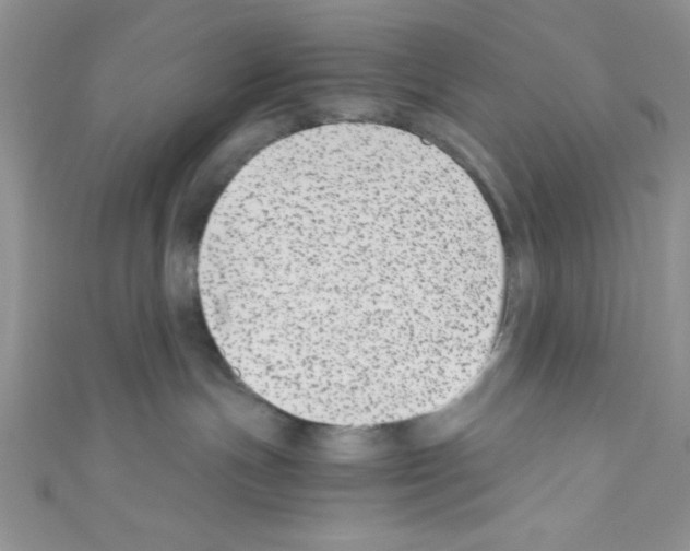 X0000110730191200907241235