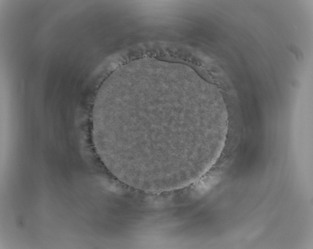 X0000110730192200907241235