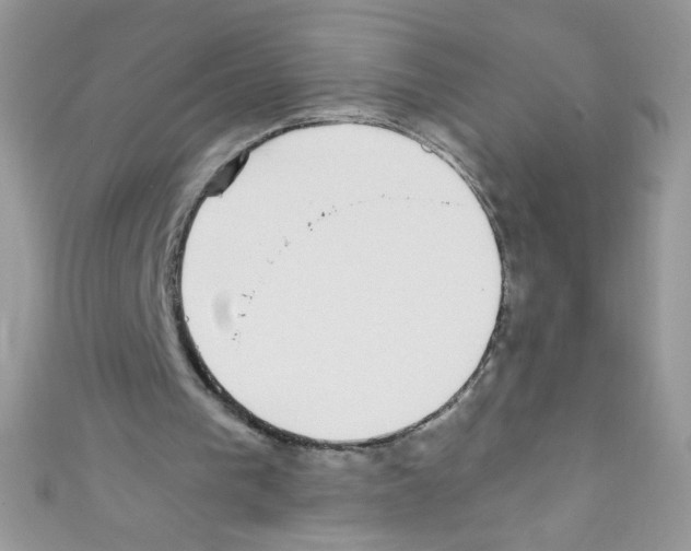 X0000110730193200907241234