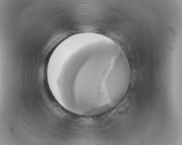 X0000110730194200907241234