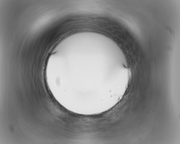 X0000110730195200907241234