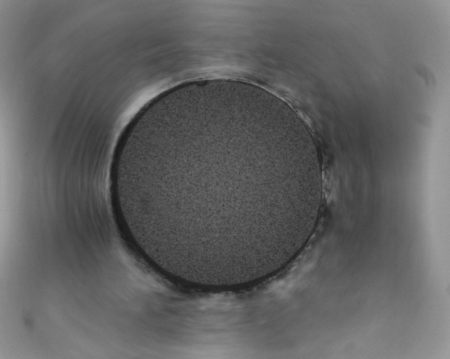 X0000110730196200907241234