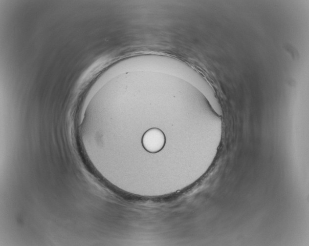X0000110730197200907241234