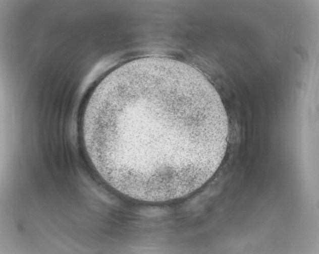 X0000110730198200907241234