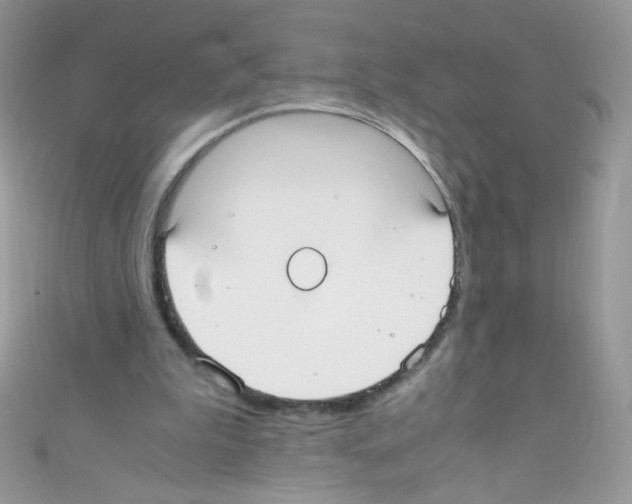 X0000110730199200907241234