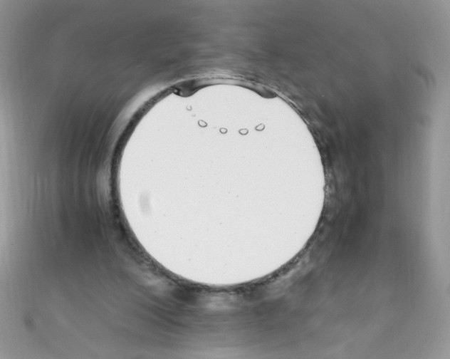 X0000110730200200907241234
