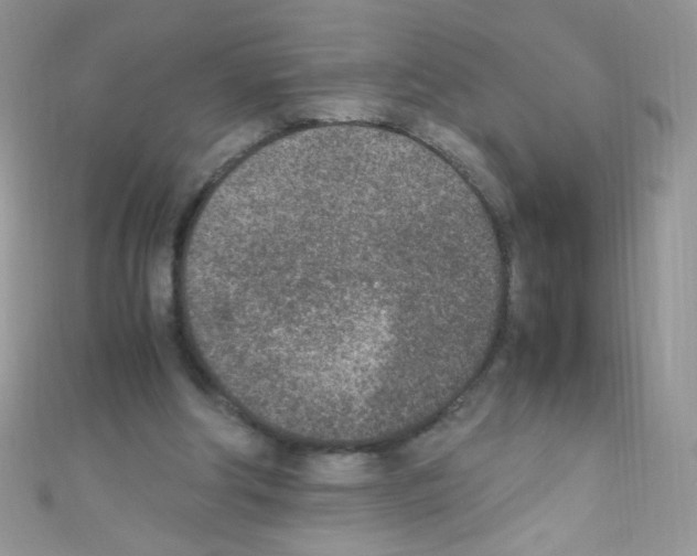 X0000110730202200907241234