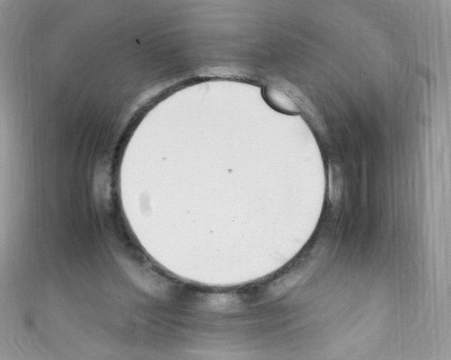 X0000110730204200907241234