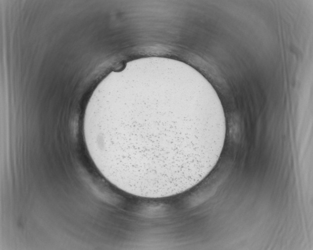 X0000110730206200907241234