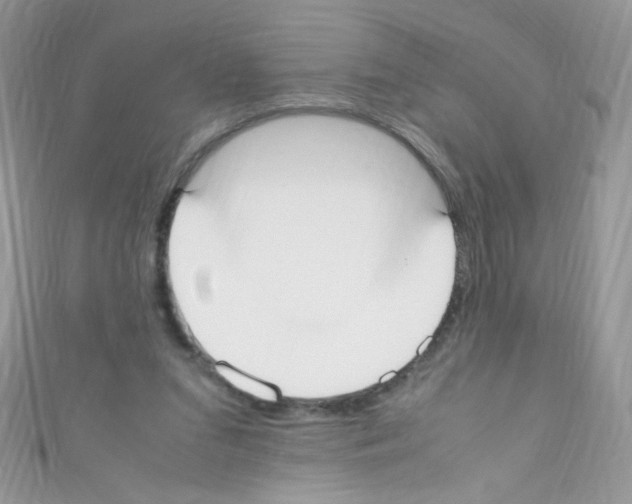 X0000110730207200907241234