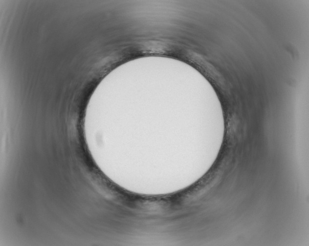 X0000110730209200907241234
