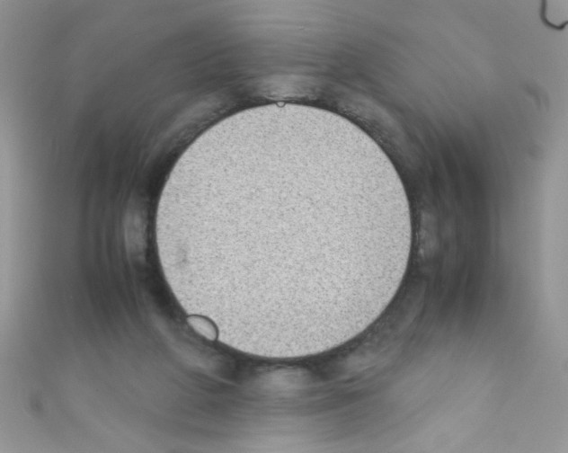 X0000110730210200907241234