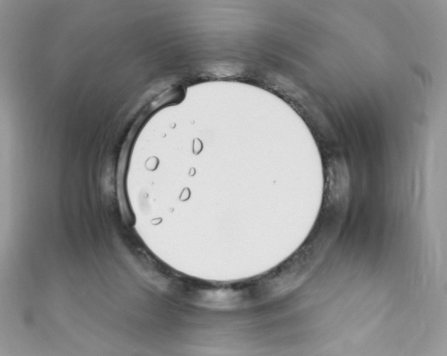 X0000110730212200907241234