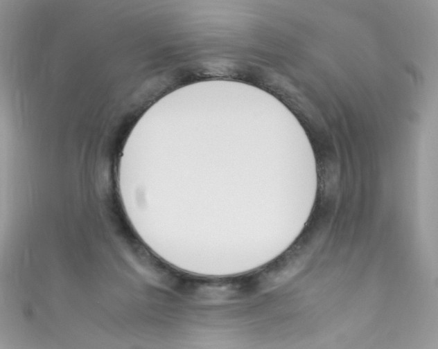 X0000110730213200907241234