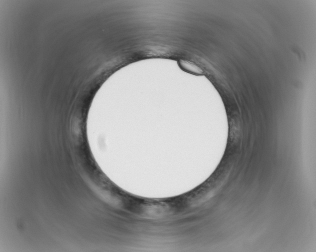X0000110730215200907241234