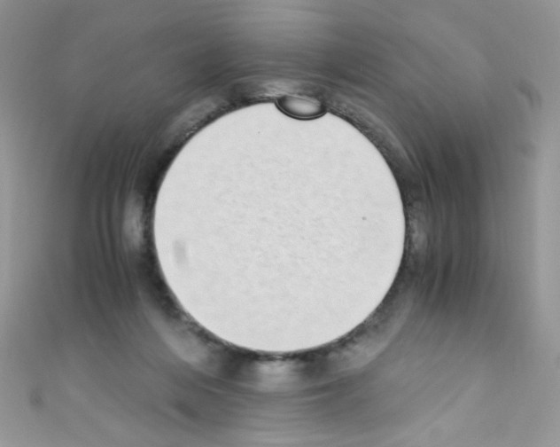 X0000110730216200907241234
