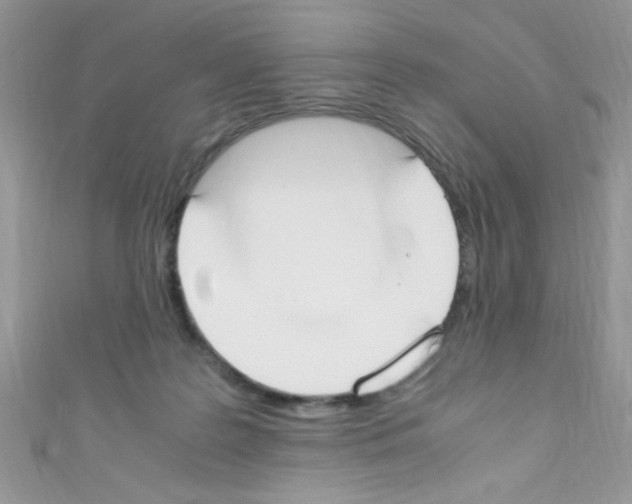 X0000110730219200907241234
