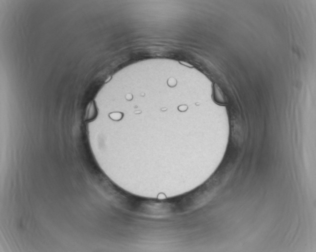 X0000110730221200907241234