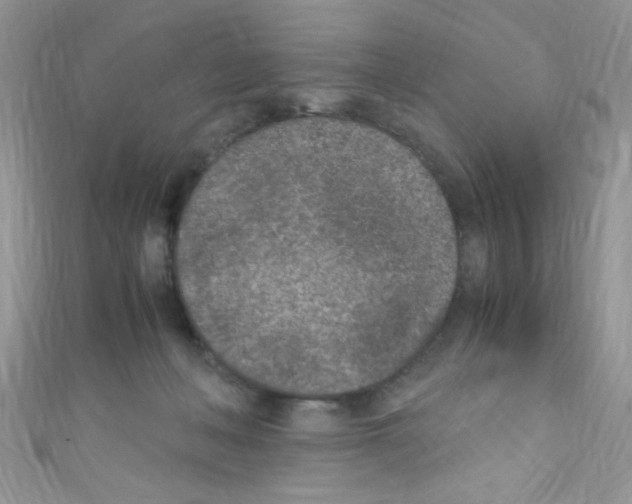 X0000110730222200907241234