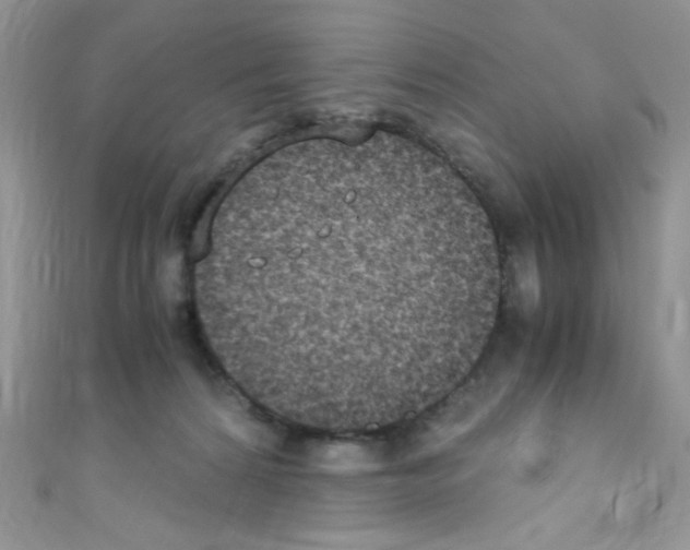 X0000110730224200907241234